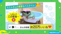 【映像】シャンプーハット“拒絶”の瞬間に大反響! カエルのバズったバスタイム