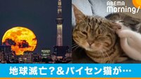 “地球滅亡みたい”な写真が話題