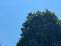 遠山ちづ子『思いがけないことは起こるものです』