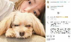 桐谷美玲の愛犬との密着2ショットに「サイコーにかわいい」「天使と天使」と反響
