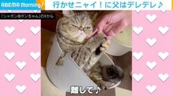 「絶対に行かせにゃい」出勤前の父の手を離そうとしない猫 イチャイチャする様子に飼い主ほっこり