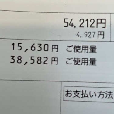 料理研究家・桜井奈々、冷や冷やしていた電気＆ガス代を公開「この金額