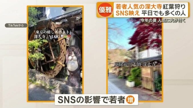 訪れる若者が増えた