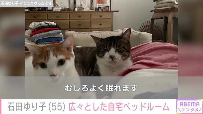【写真・画像】石田ゆり子（55）、広々とした自宅ベッドルームでの朝の光景を公開「よく眠れます」　2枚目