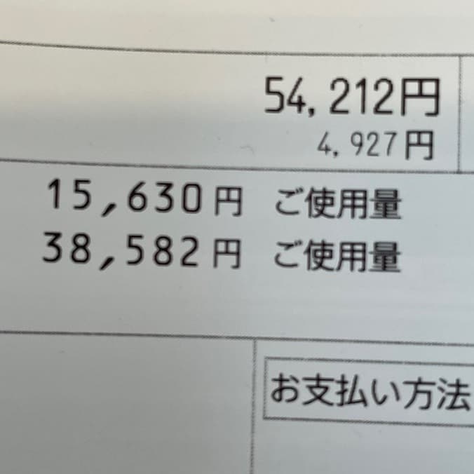  料理研究家・桜井奈々、冷や冷やしていた電気＆ガス代を公開「この金額維持しそうな気がします」  1枚目