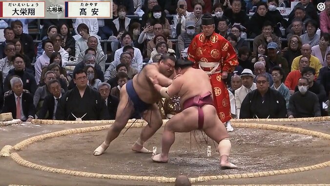 【写真・画像】　1枚目