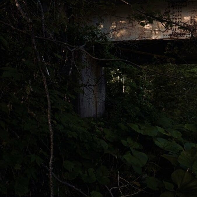 【写真・画像】　2枚目