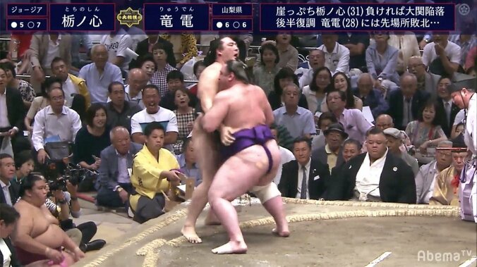 まるでブルドーザー！ 崖っぷちの栃ノ心、力強い相撲で勝利 1枚目