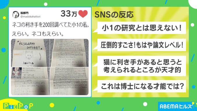「圧倒的すごさ！もはや論文レベル！」と話題