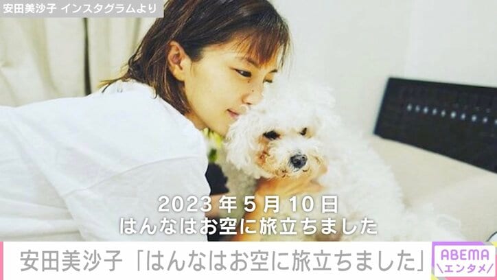 安田美沙子、16年間そばにいた愛犬との別れを報告「受け入れるにはまだ時間が要りそう」