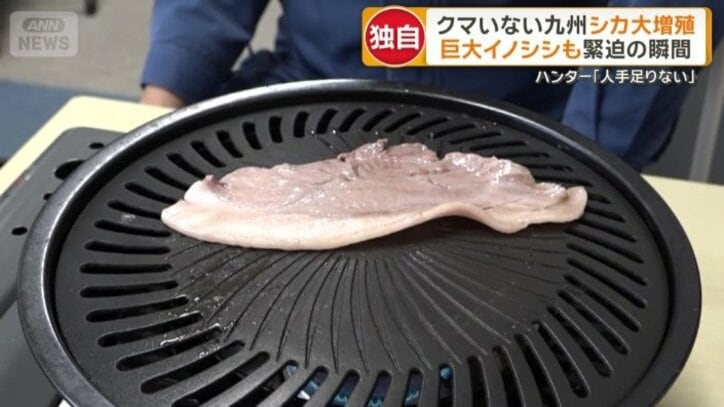ほどよく脂がのった赤身が特徴のシカ肉