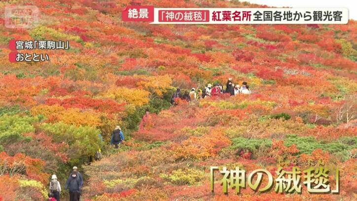 「神のじゅうたん」