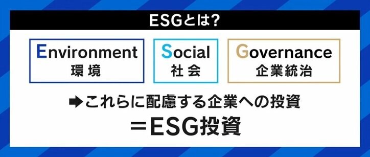 ひろゆき氏「一番環境にいいのは、物を買わないこと」ESG投資に陰り…ビジネスとエコは別物？