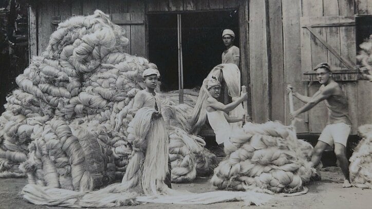 【写真・画像】 2枚目