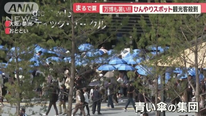 青い傘の集団