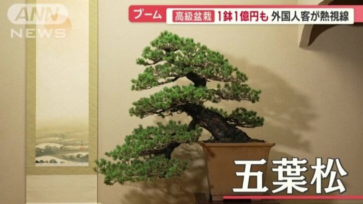付けられた値段は170万円