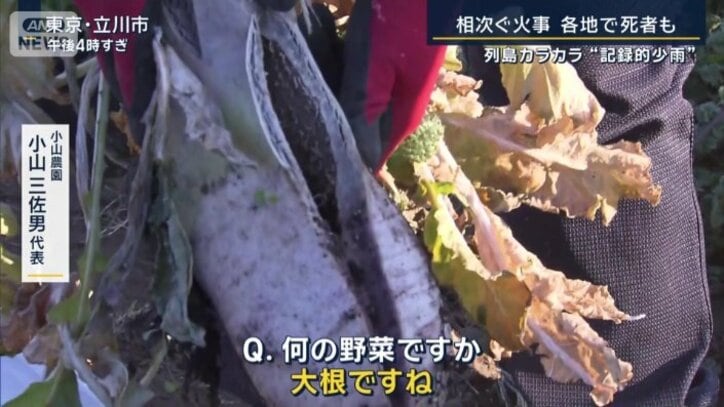 小山農園　小山三佐男代表