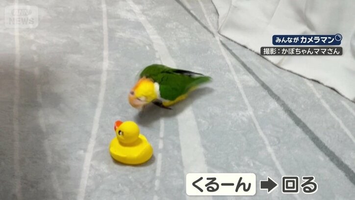 「くるーん」で回る