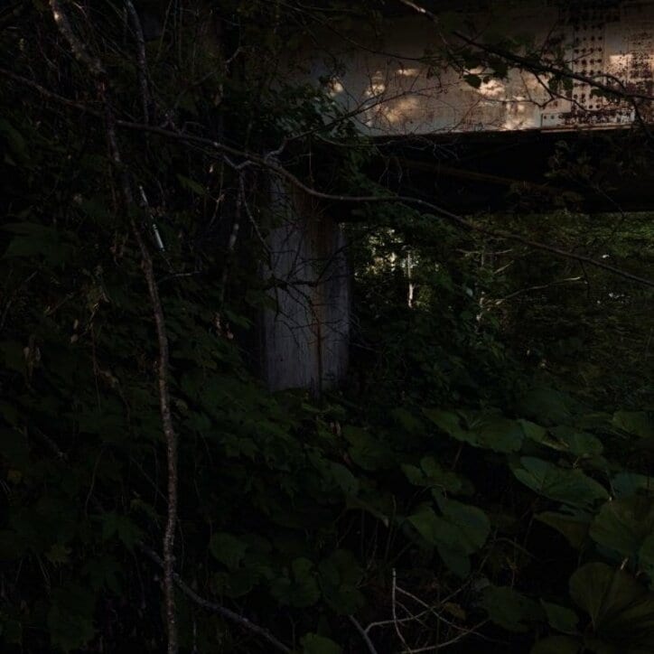 【写真・画像】 2枚目