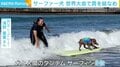 “サーファー犬”が世界大会で賞を総なめ 飼い主「日本のドッグサーフィンをもっと高めたい」