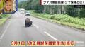 クマ被害多発で市街地での発砲が可能に 専門家は「命がけのハンターの声をもっと取り入れて判断してほしい」と指摘 “クマ保険”も登場