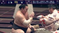 無傷の8連勝