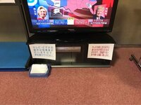 杉浦太陽『大統領選に夢中』