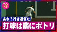 【映像】目測を誤った結果、打球は無人の外野にポトリ…