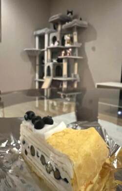  藤あや子、すごい行列の店で購入したスイーツを公開「さすがゴールデンウィーク」 