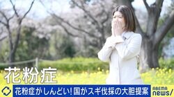 花粉症対策でスギ人工林を2割削減 政府目標に森林ジャーナリスト「今の人員ではまず無理」 伐採しても売れない・使えない問題も？
