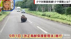 クマ被害多発で市街地での発砲が可能に 専門家は「命がけのハンターの声をもっと取り入れて判断してほしい」と指摘 “クマ保険”も登場