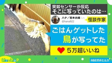 カメラ に 映っ た トップ 決定 的 瞬間