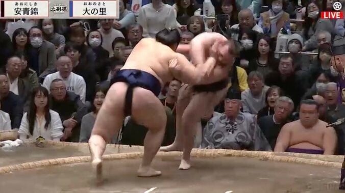 大の里が驚異のパワーで安青錦に“完全勝利”