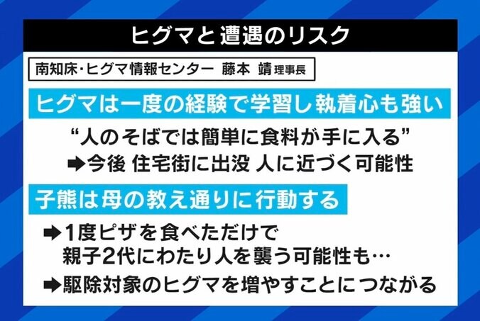 ラファエル「YouTubeはまだ稼げる」“ヒグマ”遭遇の投稿者に批判の声も…動画配信の未来は 5枚目