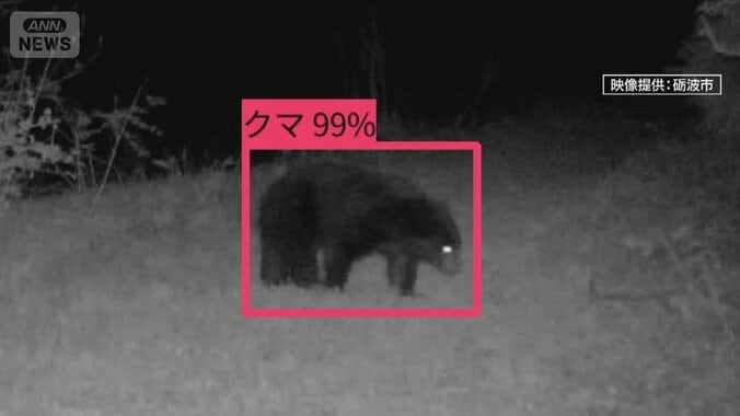 “人間由来の食べ物”学習し執着か…GW前に“春のクマ”出没相次ぐ 1枚目