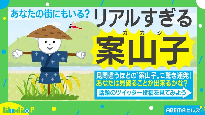 人間と見間違いずっと挨拶している人も…”リアルすぎる”カカシがSNSで話題に「夜、相当怖いやつ」 1枚目
