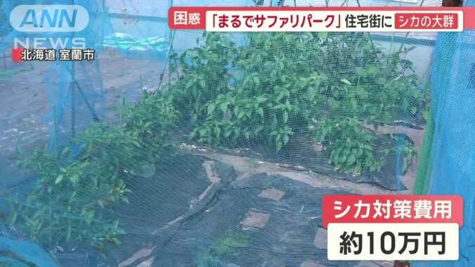 およそ10万円の費用がかかる