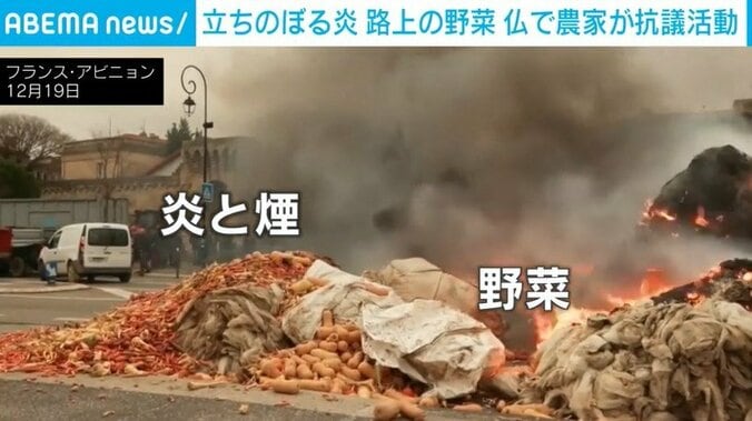 路上に大量に捨てられた野菜