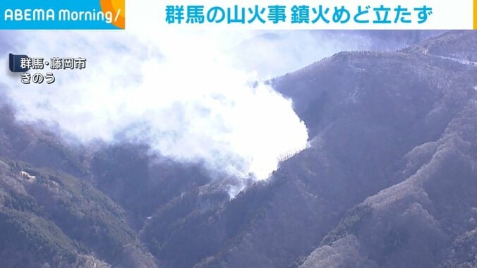 山火事の様子
