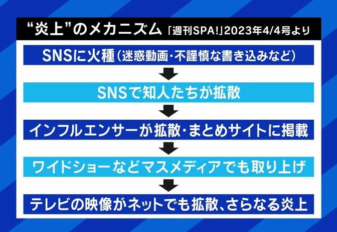 “おたおめ”ツイートで炎上した元女子高生「ネットは使い方を間違えるとこっちがおもちゃにされる」炎上者の“その後”どう報じる？ 5枚目