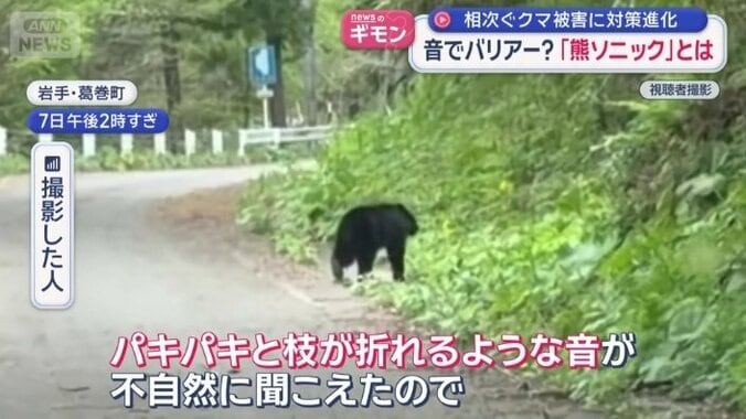 釣りをしていた男性が遭遇