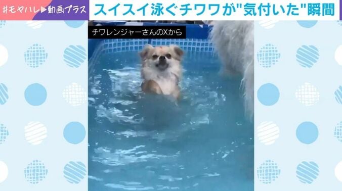 ジャーマンくん