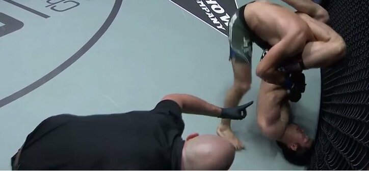 圧巻の「33秒間」　グラップラー・青木真也、復活の勝利