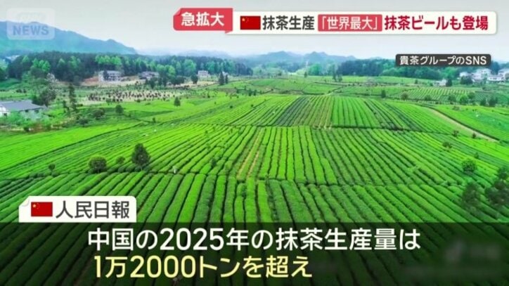 日本のお茶農家の脅威となっている