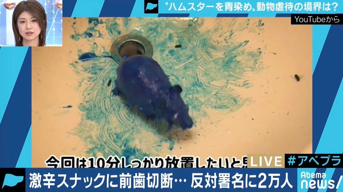 苦しむハムスターの動画をyoutubeに 止まぬ動物虐待 法改正後は初犯で懲役刑も 国内 Abema Times