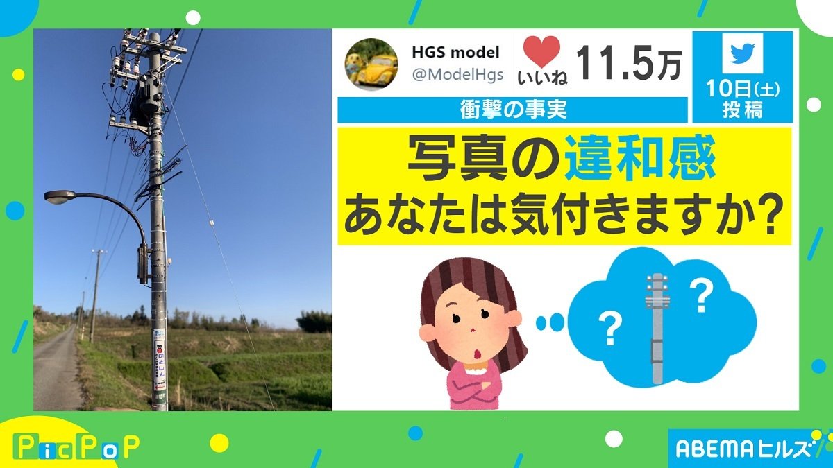 よく見ると違和感…？ 精巧な“電柱”がTwitterで話題に | 国内 | ABEMA