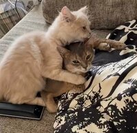 桃『一緒に住み始めて1ヶ月半、奇跡が起きました。』