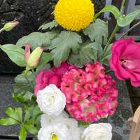 かとうかず子『こんにちは』