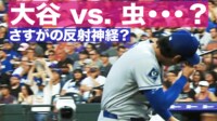 【映像】大谷 vs. 虫・・・? さすがの反射神経?