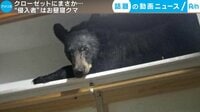 カメラが捉えた!話題の動画ニュース【月~金 更新】 - - クローゼットにまさか... “侵入者”はお昼寝クマ (3日配信) | 動画視聴は【Abemaビデオ(AbemaTV)】